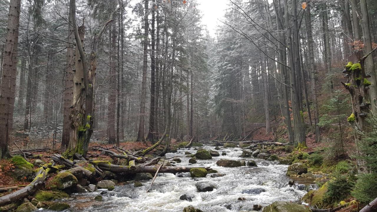Villa Leika - Panoramablick Am Riesengebirge Mysłakowice 外观 照片